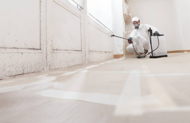 24/7 Emergency Mold Remediation experts in Winchester, KY