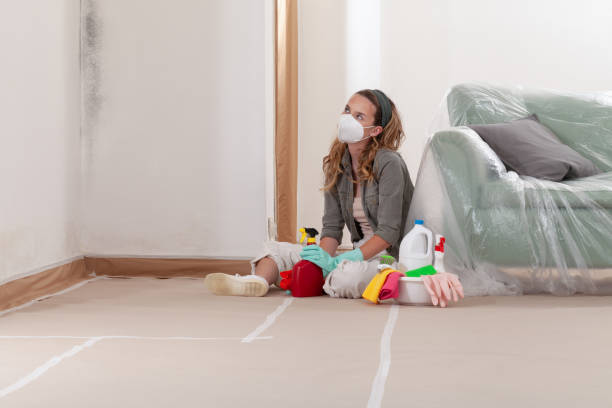 Reliable Mold Remediation contractor in Winchester, KY by WQB Mold Removal